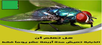 هل تعلم