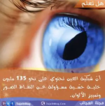 المتطورة تُجدد تسهيلات ائتمانية مع الراجحي المالية بقيمة 60 مليون ريال