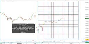 3.webp
