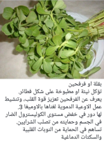 1761081138898.png