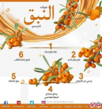 حلى آيس كريم ساندويش