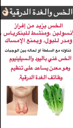 1761082024188.png