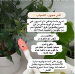 1762019429147.png