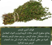 زعتر.PNG