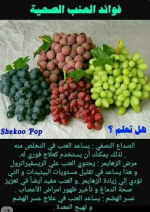 العنب9.PNG