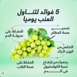 العنب8.PNG