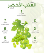 العنب3.PNG