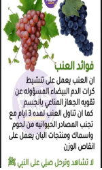 العنب2.PNG