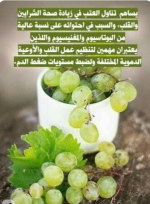 العنب 9.PNG