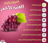 العنب 5.PNG