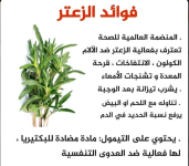 فوائد الزعتر.PNG