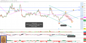 LUCID GROUP INC_2025_11_6.png