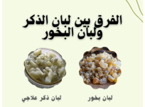 الفرق بين لبان الذكر والبخور.PNG