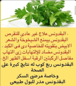 بقدونس 2.PNG