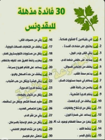 بقدونس3.PNG