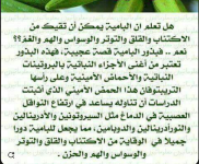 الباميه1.PNG