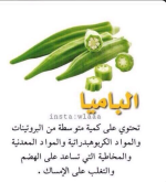 باميه3.PNG