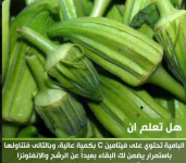 باميه5.PNG