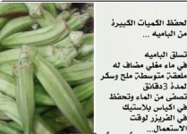 باميه7.PNG