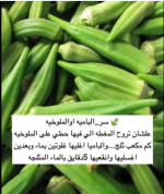 باميه8.PNG