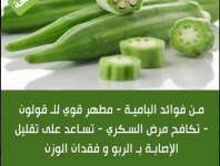 باميه9.PNG