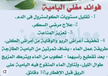 باميه 10.PNG