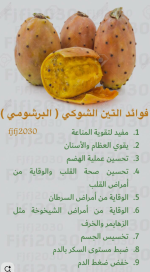 التين الشوكي2.PNG