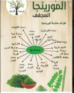 مورينجا1.PNG