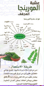 مورينجا2.PNG