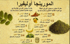 مرينجا3.PNG