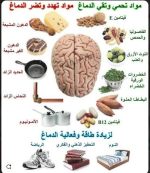 مخ 2.PNG