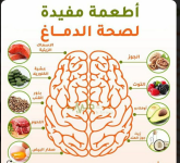 مخ3.PNG