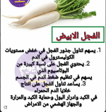 الفجل1.PNG