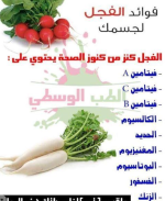 الفجل2.PNG