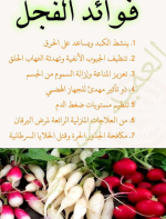 الفجل.PNG