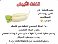 الفجل 3.PNG