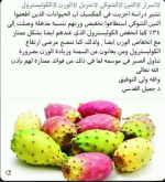 التين اشوكي.PNG