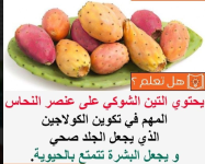 التين الشوكي 3.PNG
