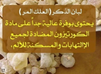 اللبان الذكر.PNG