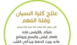 الدماغ.PNG