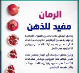 الدماع.PNG