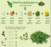 مورينجا2.PNG