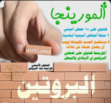مورينجا5.PNG