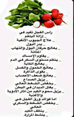الفجل.PNG