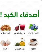 الكبد 1.PNG