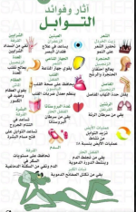 اثار وفوائد التوابل.PNG