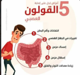 قولون5.PNG