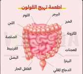 قولون7.PNG
