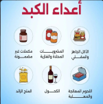 الكبد2.PNG