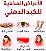 الكبد.PNG